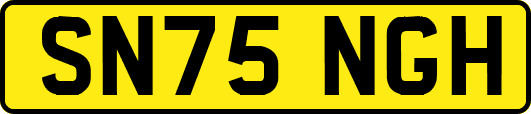 SN75NGH