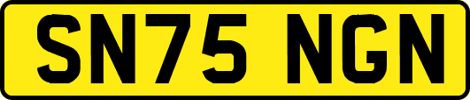 SN75NGN