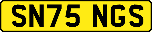 SN75NGS