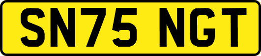SN75NGT
