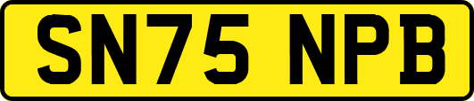 SN75NPB