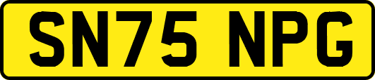 SN75NPG