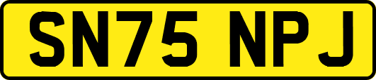 SN75NPJ