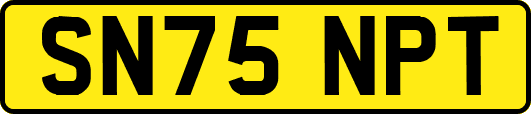 SN75NPT