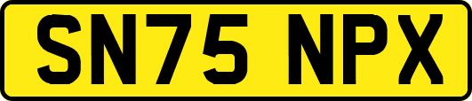 SN75NPX