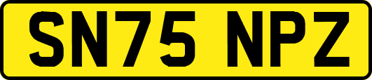 SN75NPZ