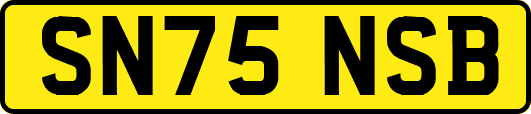 SN75NSB