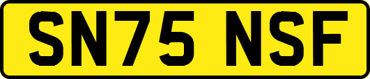 SN75NSF
