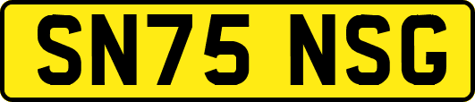 SN75NSG