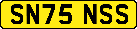 SN75NSS