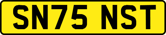 SN75NST