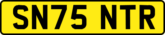 SN75NTR