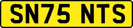 SN75NTS