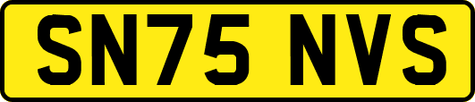 SN75NVS