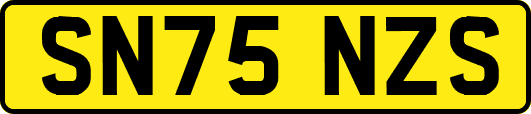 SN75NZS