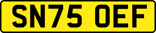 SN75OEF
