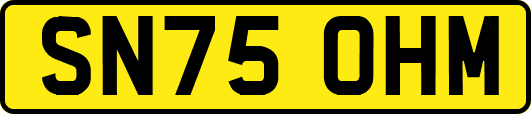 SN75OHM