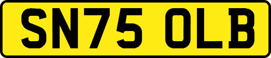 SN75OLB