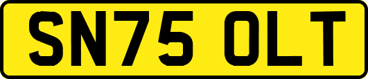 SN75OLT