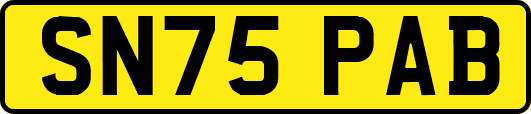SN75PAB