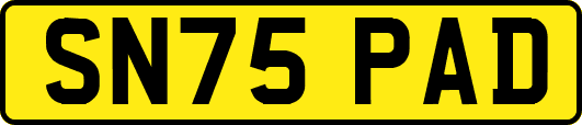 SN75PAD