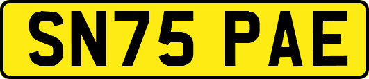 SN75PAE