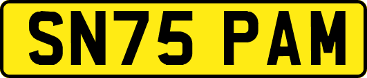 SN75PAM