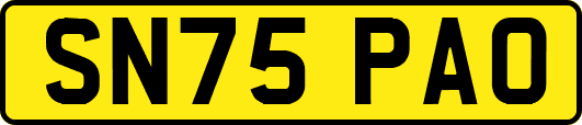 SN75PAO