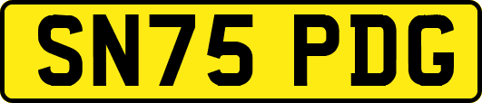 SN75PDG