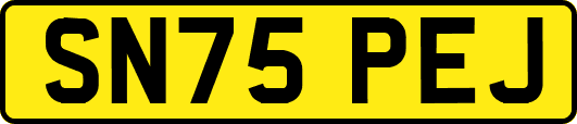 SN75PEJ