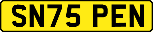 SN75PEN