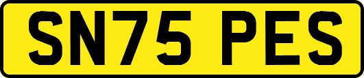 SN75PES