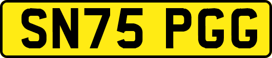 SN75PGG