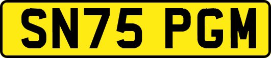 SN75PGM