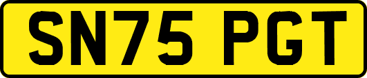 SN75PGT