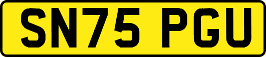 SN75PGU