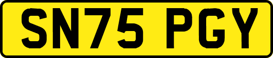 SN75PGY
