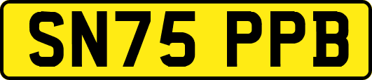 SN75PPB