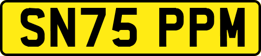 SN75PPM