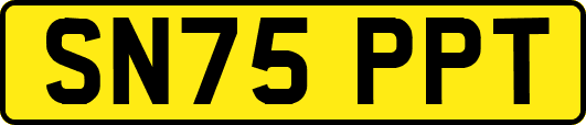SN75PPT