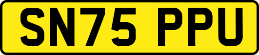 SN75PPU