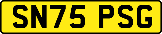 SN75PSG
