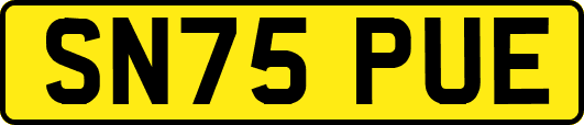 SN75PUE