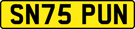 SN75PUN
