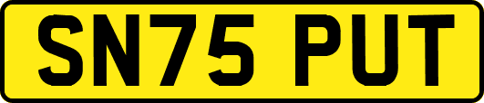 SN75PUT