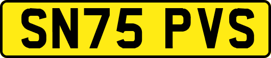 SN75PVS