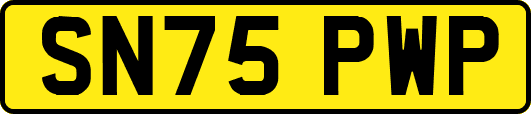 SN75PWP