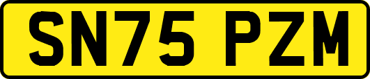 SN75PZM
