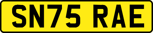 SN75RAE