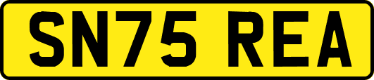 SN75REA